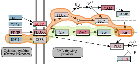 Pathway