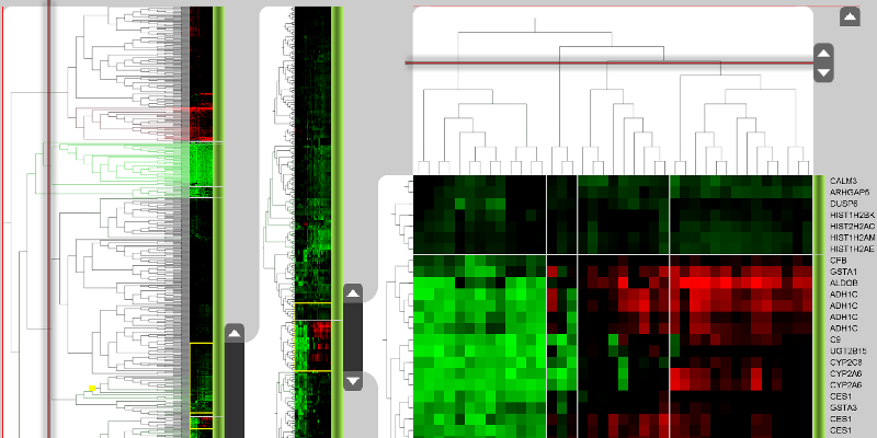 Hierarchical heat map