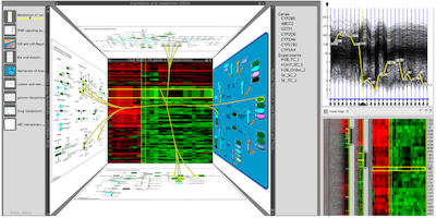 Caleydo Bucket, heatmap and parallel coordinates screenshot